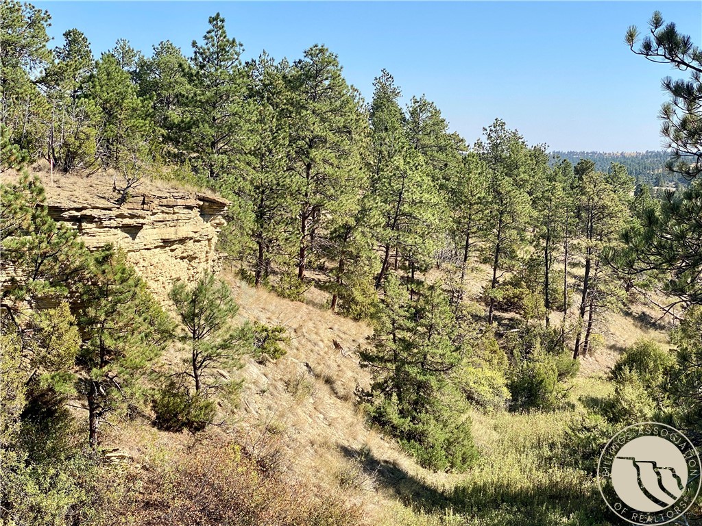 Lot 20A-2 Far and Away Trail