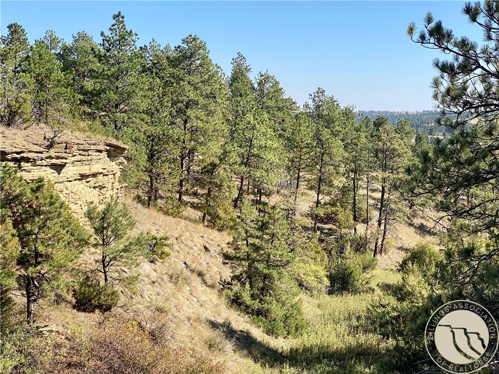 Lot 20A-2 Far and Away Trail