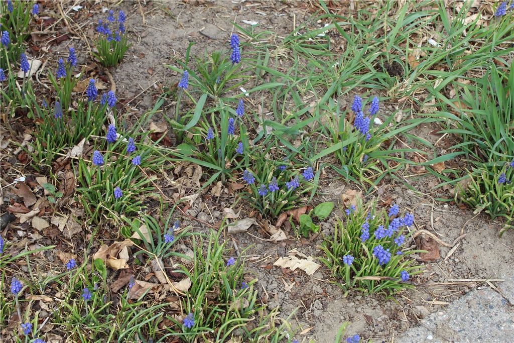 Photo of 2721 Louise Lane, Billings, MT 59102 (MLS # 356984)