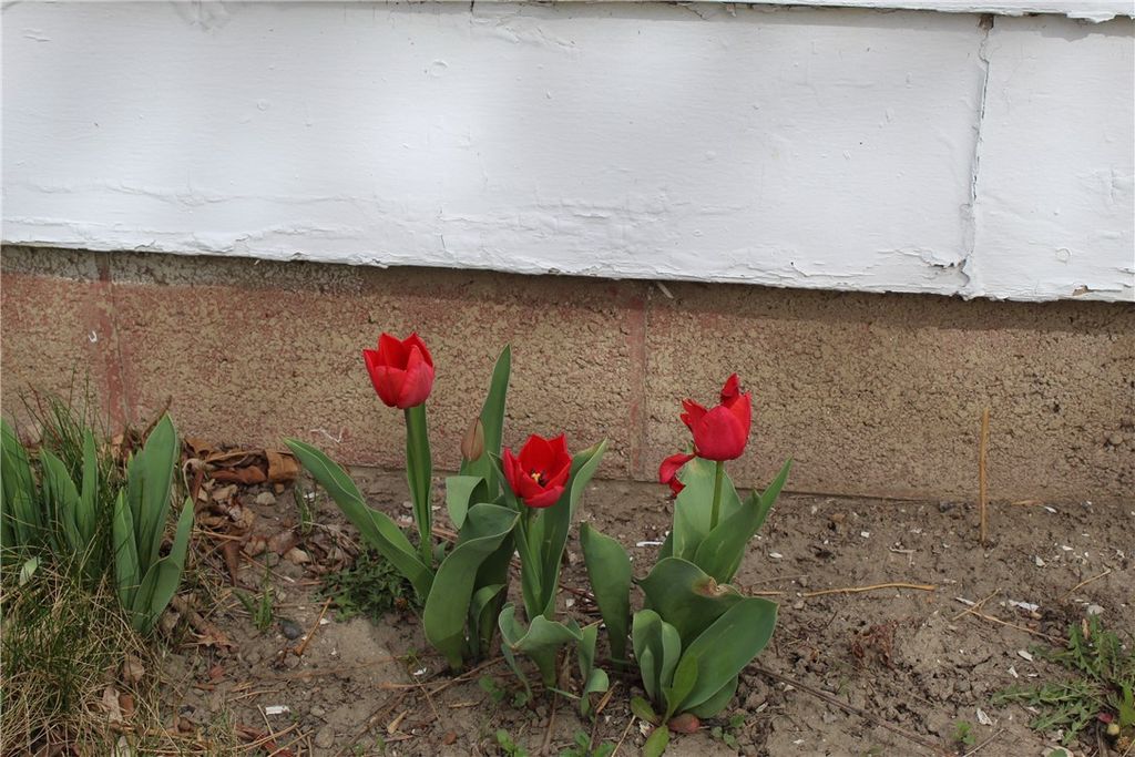 Photo of 2721 Louise Lane, Billings, MT 59102 (MLS # 356984)