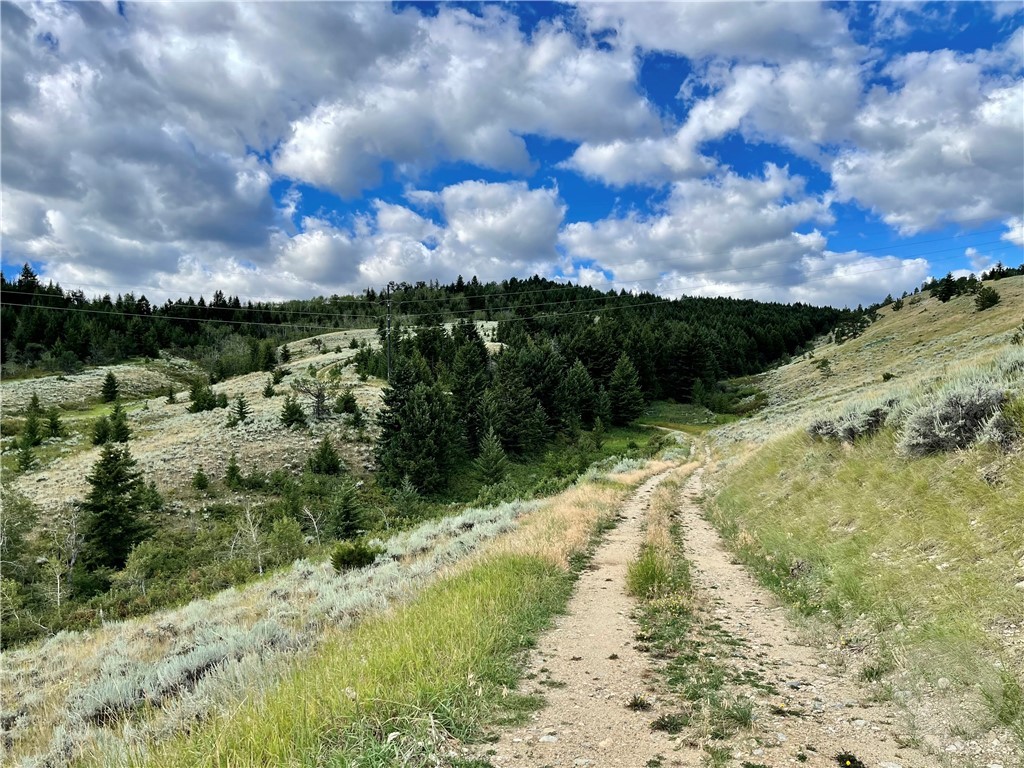 Red Lodge, Montana 59068, United States, ,Residential,Active,5197