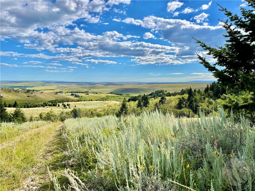 Red Lodge, Montana 59068, United States, ,Residential,Active,5197