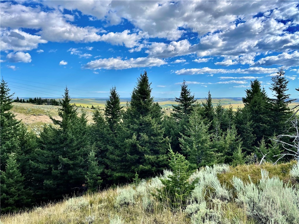 Red Lodge, Montana 59068, United States, ,Residential,Active,5197