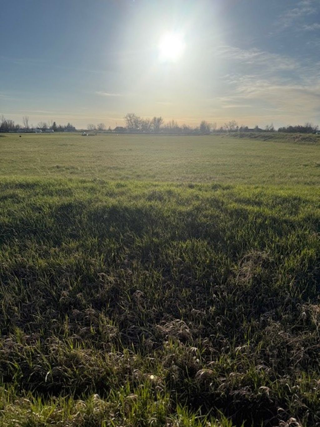 Photo of 6800 Eagle Bend Boulevard, Shepherd, MT 59079 (MLS # 358821)