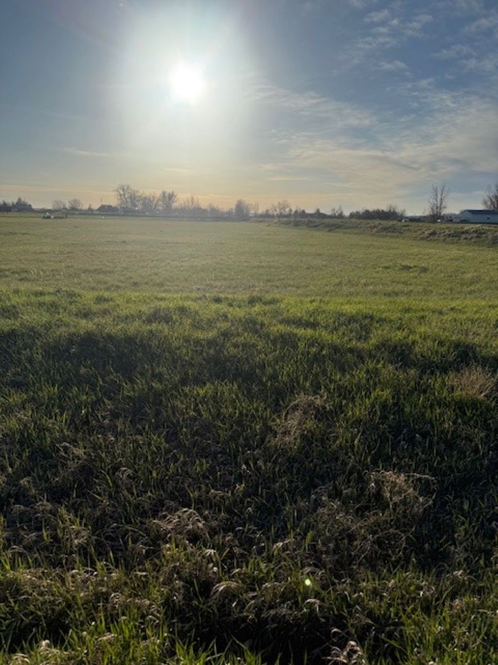 Photo of 6800 Eagle Bend Boulevard, Shepherd, MT 59079 (MLS # 358821)