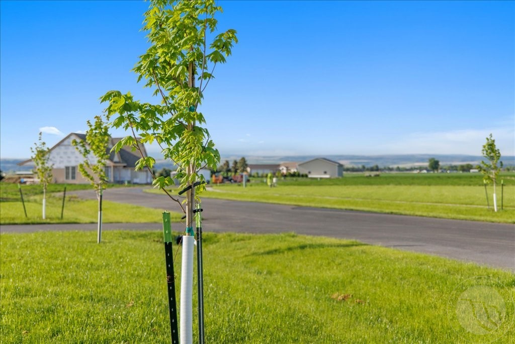 Lot 7 Black Canyon Court