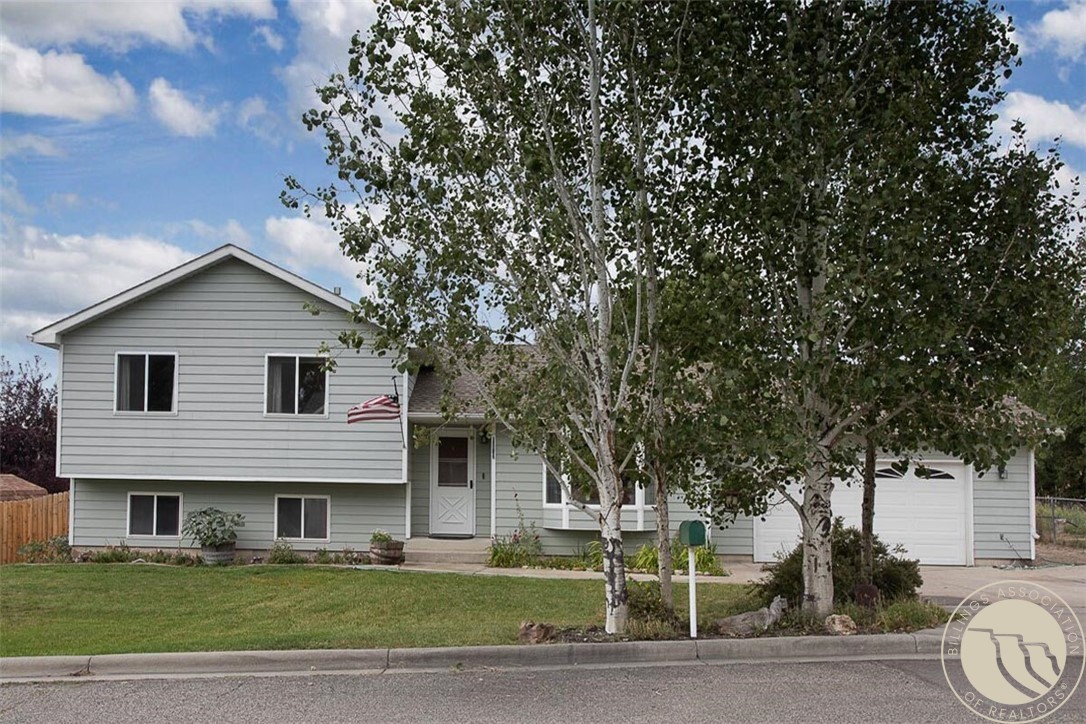 1238 Beartooth Drive