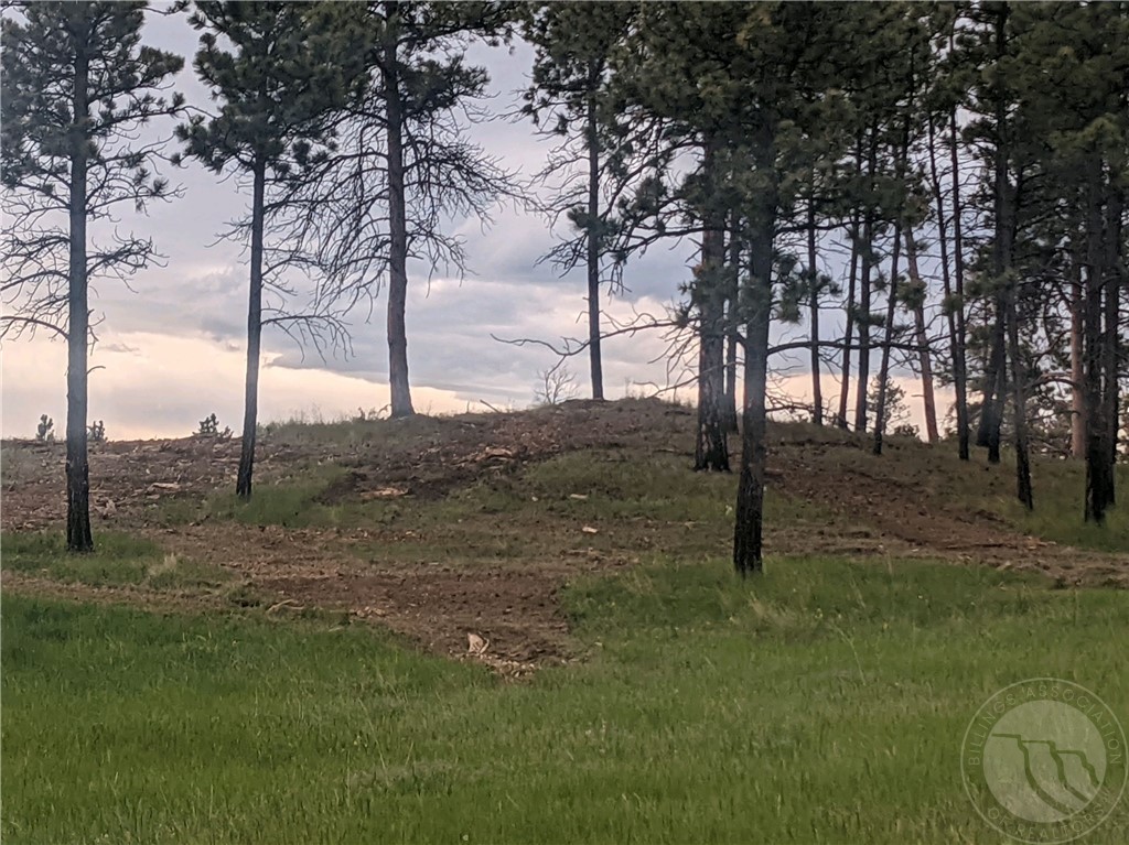 Lot 60 Wild Turkey Ridge Rd