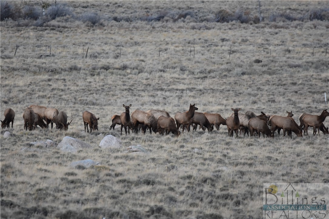Belfry, Montana 59008, United States, ,Land,Active,73624