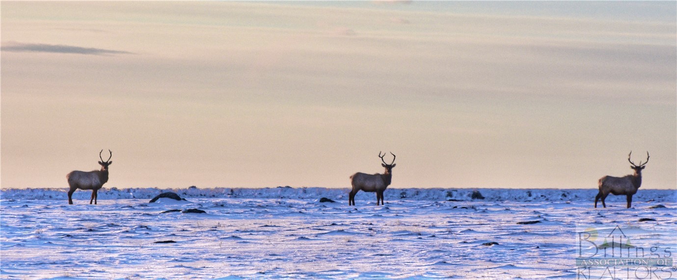 Belfry, Montana 59008, United States, ,Land,Active,73624