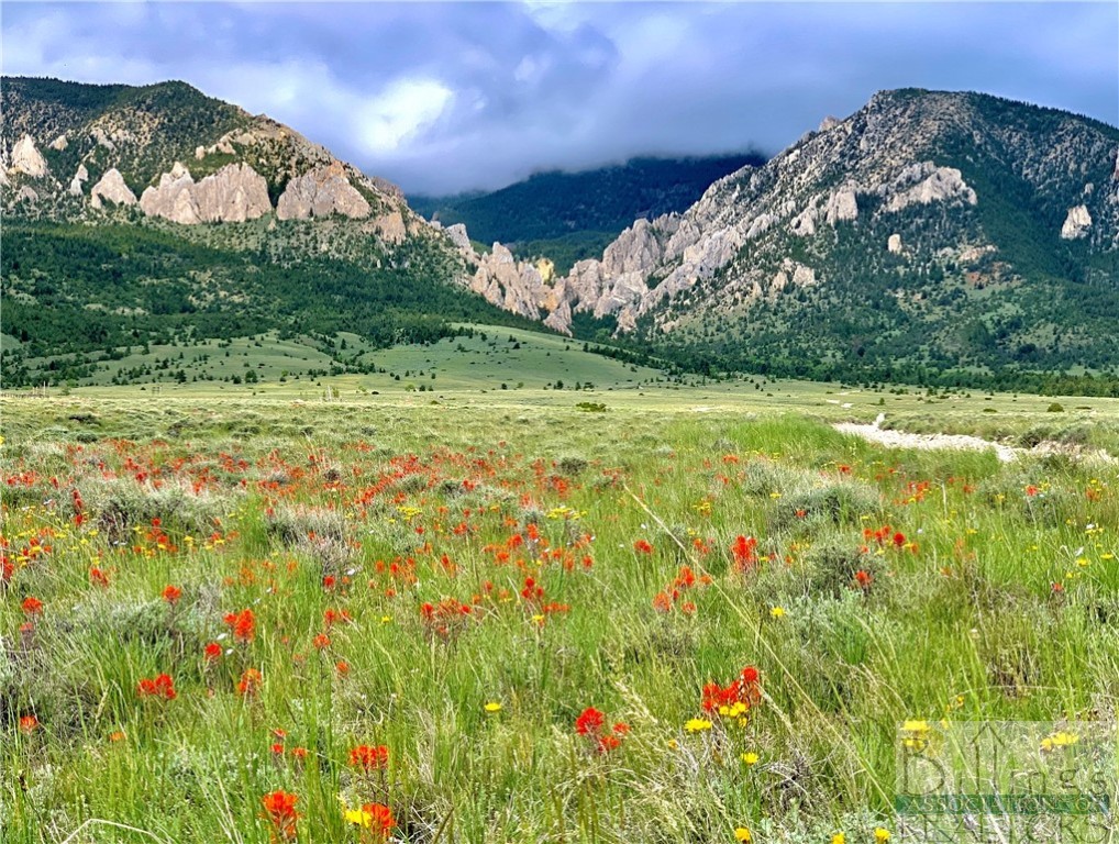 Belfry, Montana 59008, United States, ,Land,Active,73624