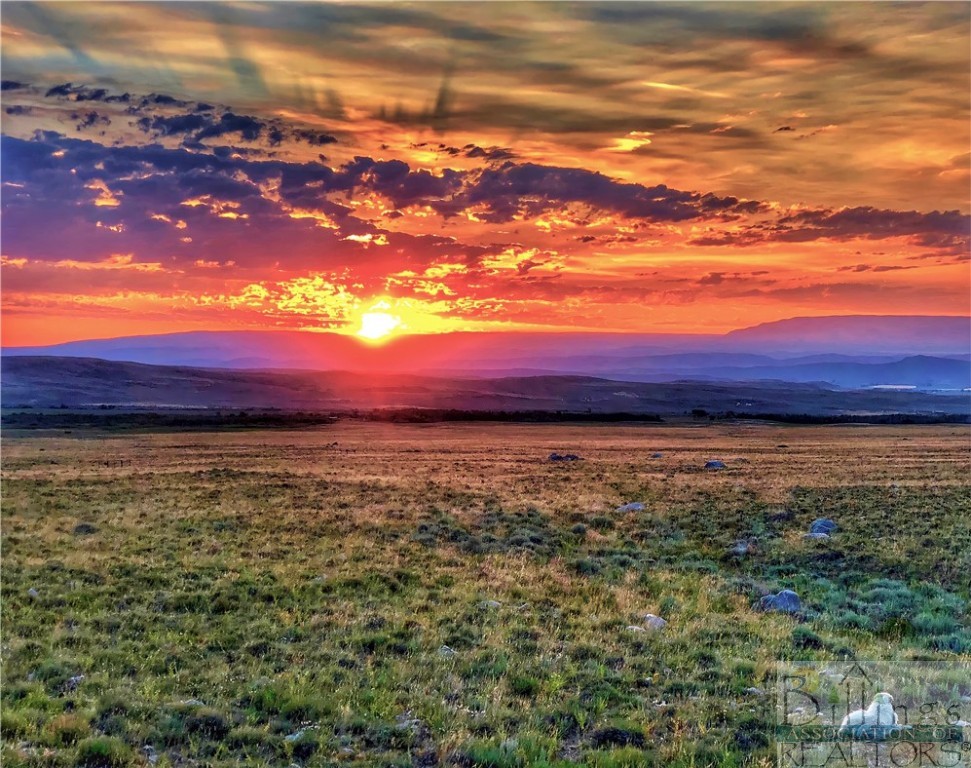 Belfry, Montana 59008, United States, ,Land,Active,73624