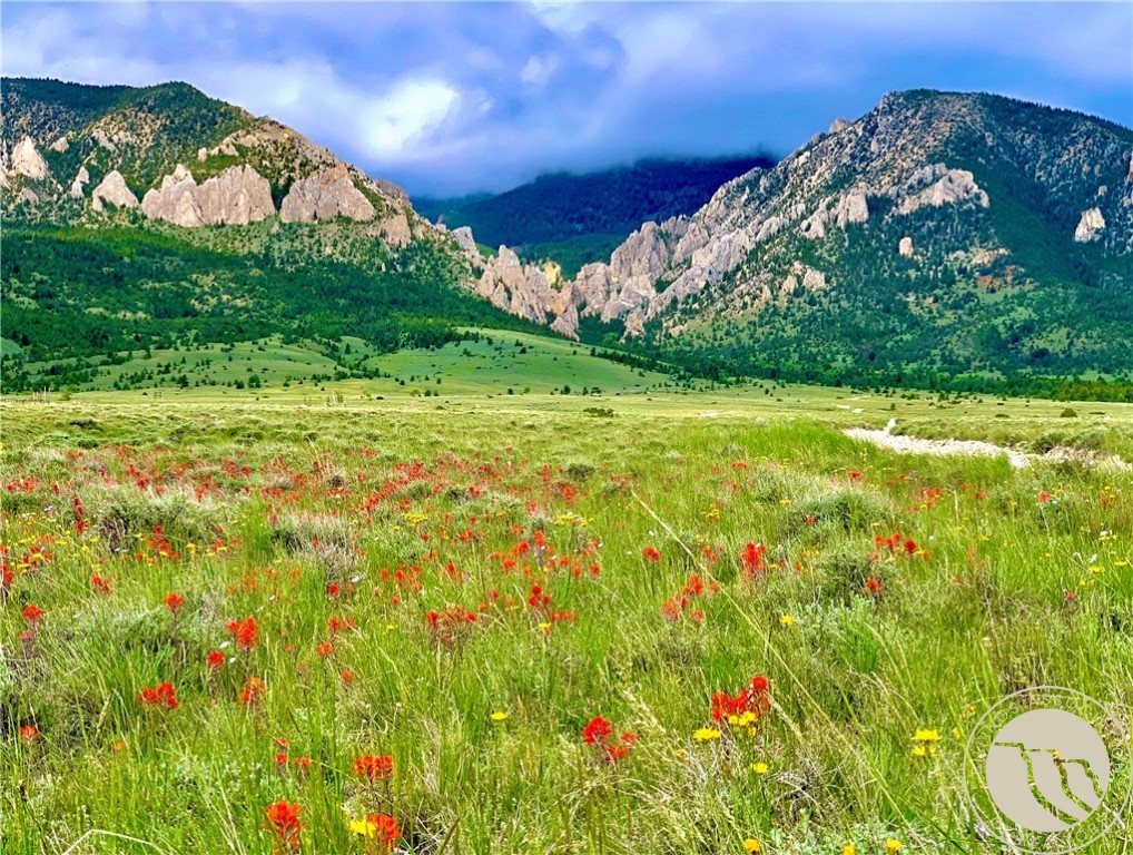 Belfry, Montana 59008, United States, ,Land,Active,73624