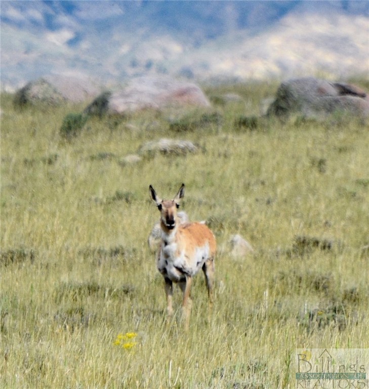 Belfry, Montana 59008, United States, ,Land,Active,73624