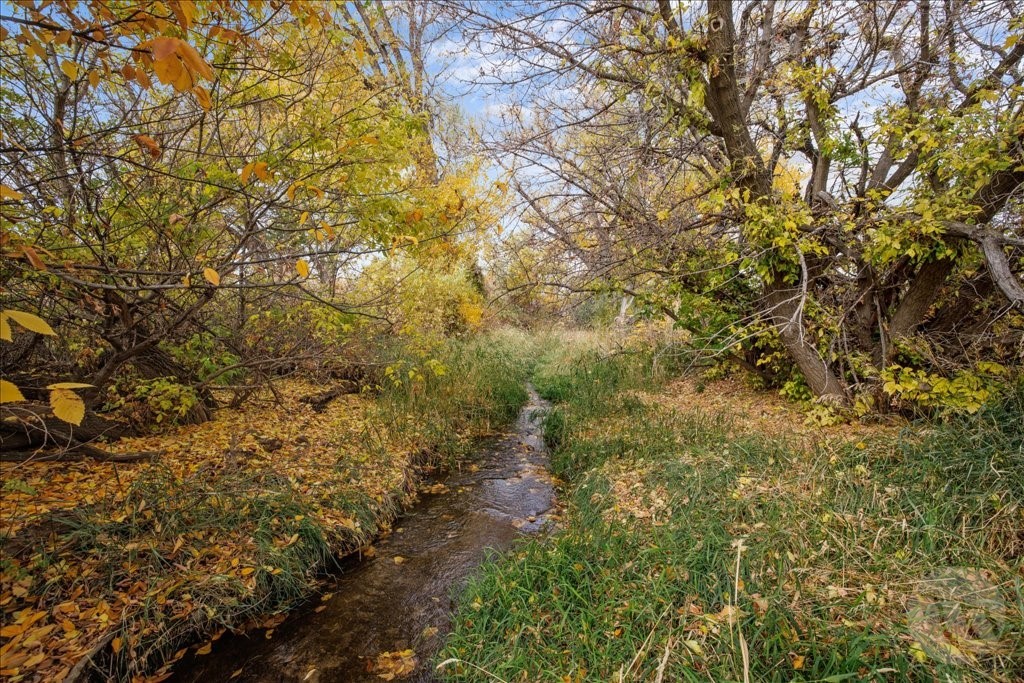 TBD River Road