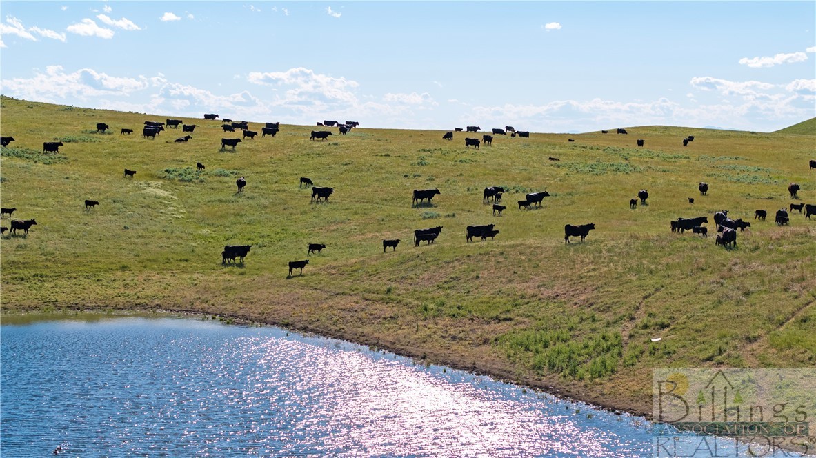 nhn Plum Creek Road
