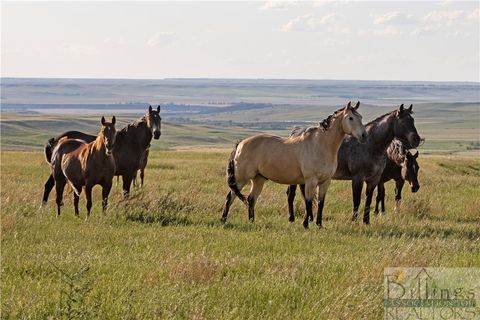 nhn Plum Creek Road Lewistown MT 59457