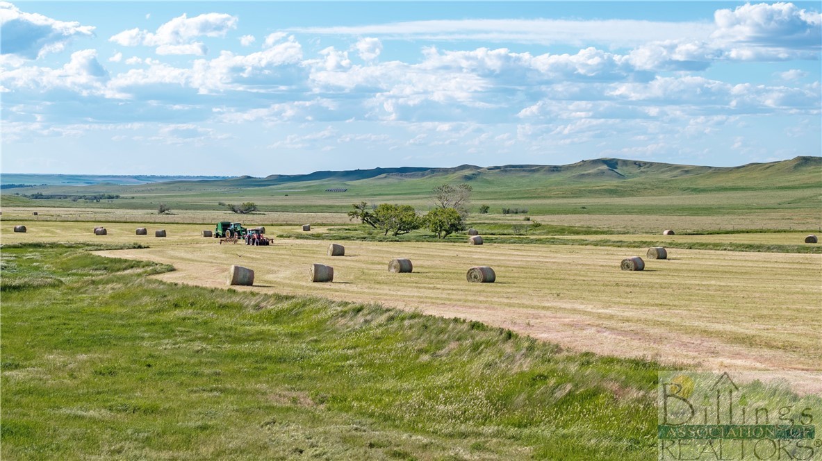 nhn Plum Creek Road