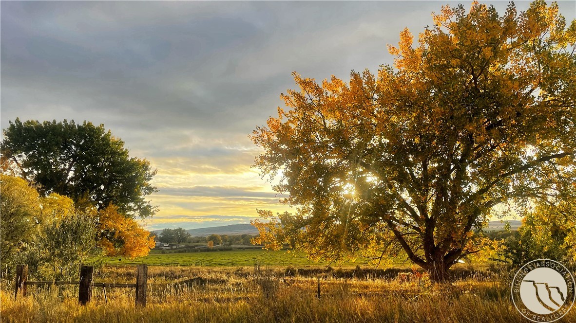 90 Edgar Fromberg Road