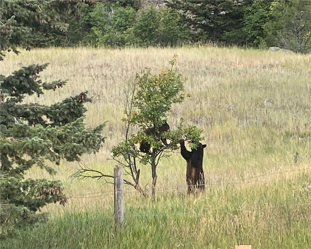 9 Moose Haven