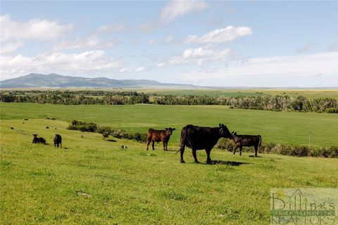 6058 Cottonwood Creek Lewistown MT 59457