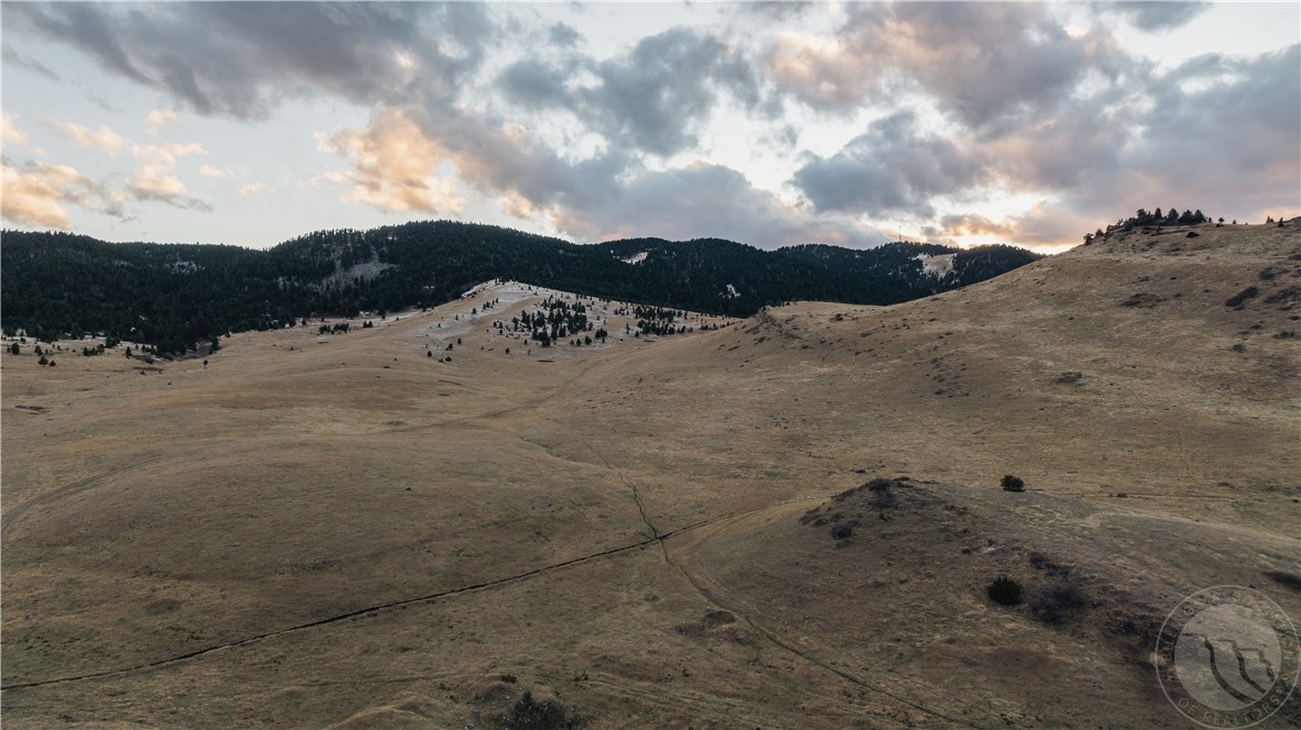 TBD Livingston Peak Road