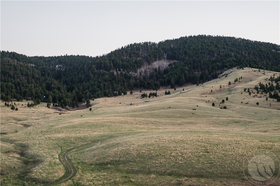 TBD Livingston Peak Road
