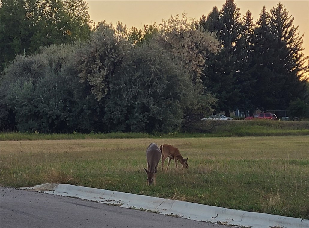 233 Sharron Block 14, Lot 3 Lane