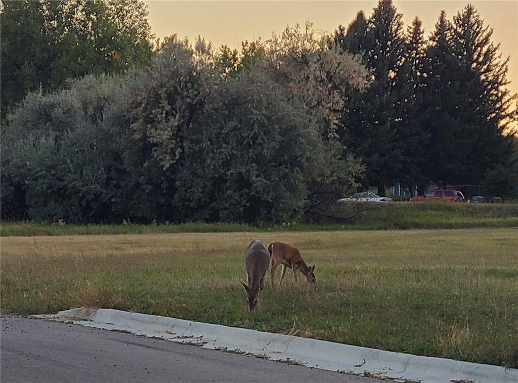 Photo of 233 Sharron Block 14, Lot 3 Lane, Billings, MT 59105 (MLS # 358658)