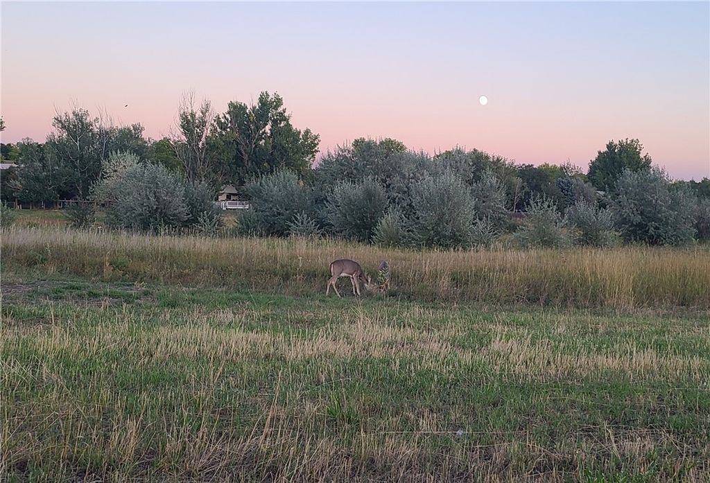 Photo of 233 Sharron Block 14, Lot 3 Lane, Billings, MT 59105 (MLS # 358658)