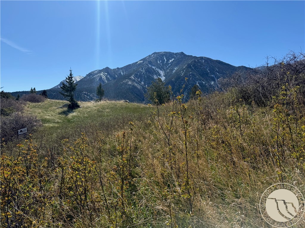 23 Rocky Trail