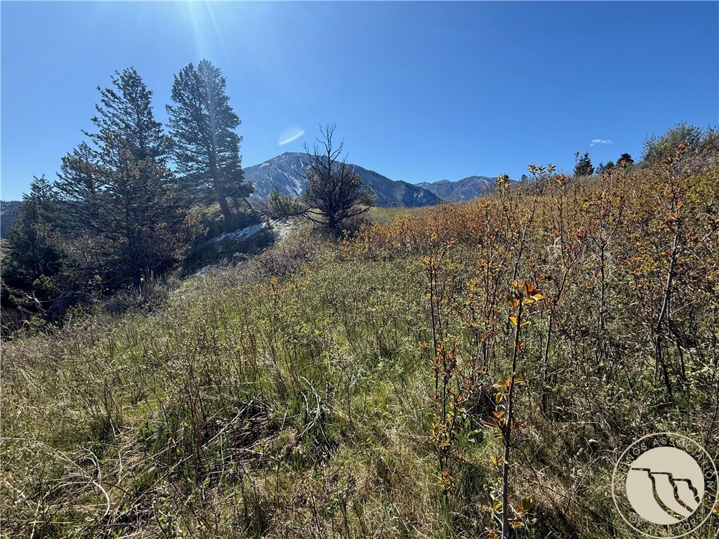 23 Rocky Trail