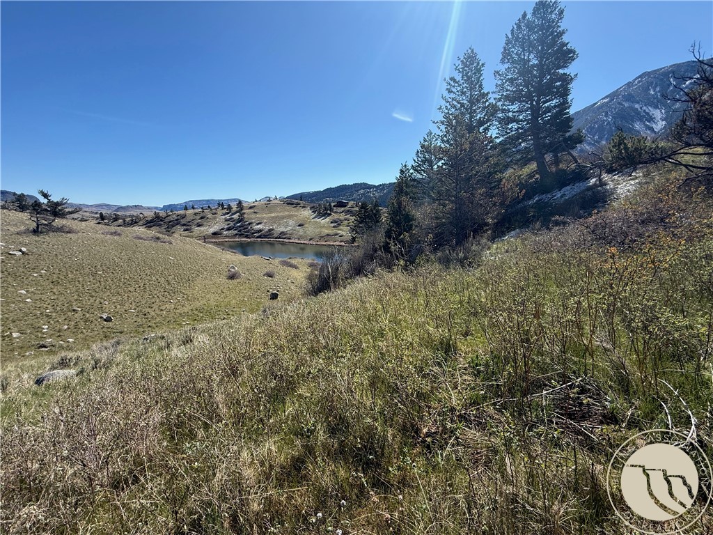 Photo 1 of 8 — 23 Rocky Trail, Nye, MT 59061