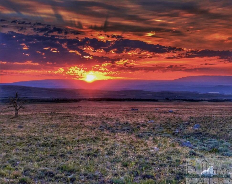 Belfry, Montana 59008, United States, ,Land,Pending,64887