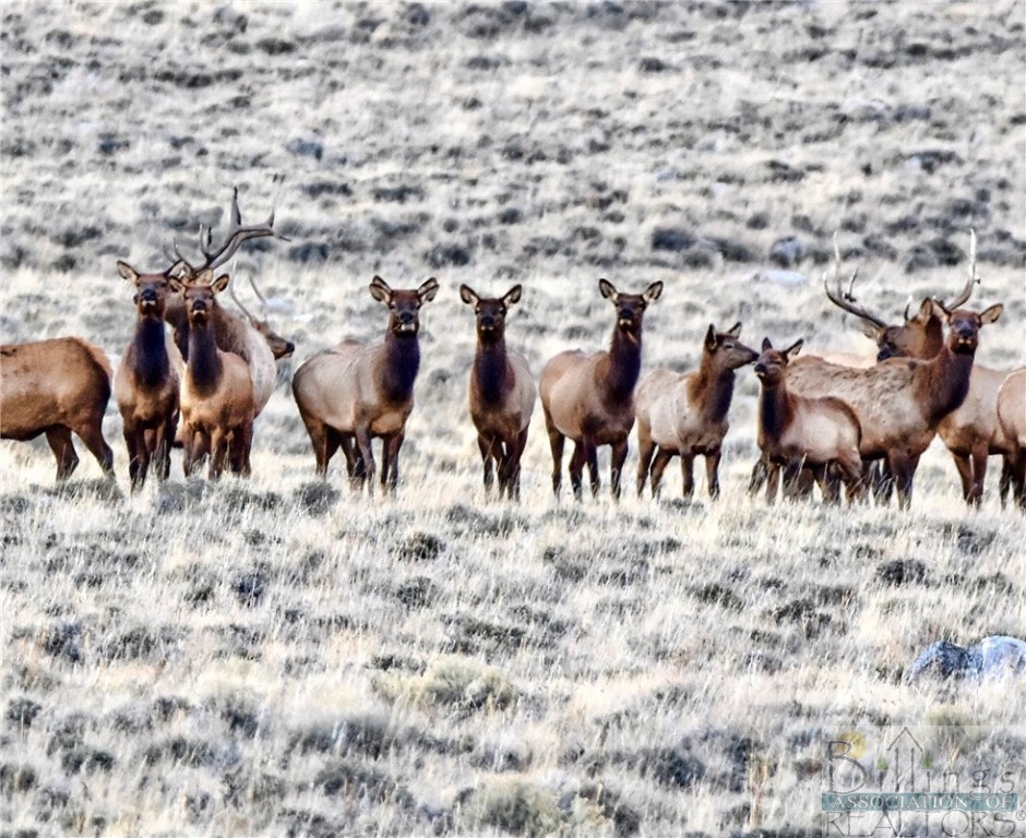 Belfry, Montana 59008, United States, ,Land,Pending,64887