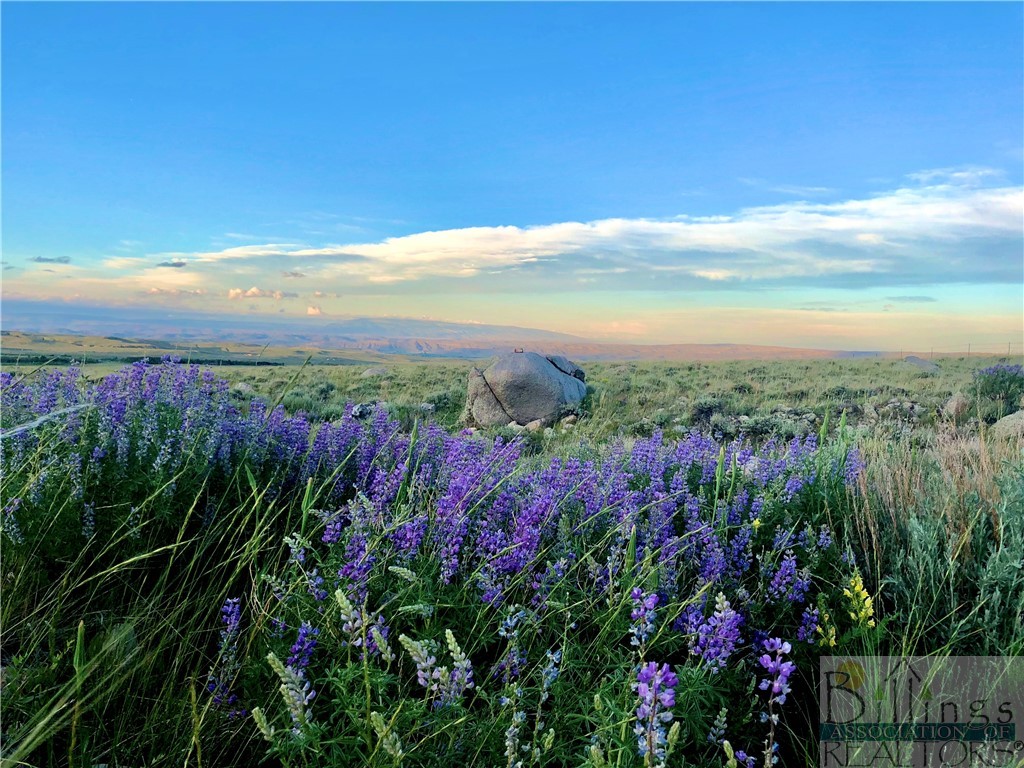 Belfry, Montana 59008, United States, ,Land,Pending,64887