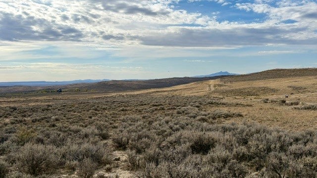 TBD Denver Way