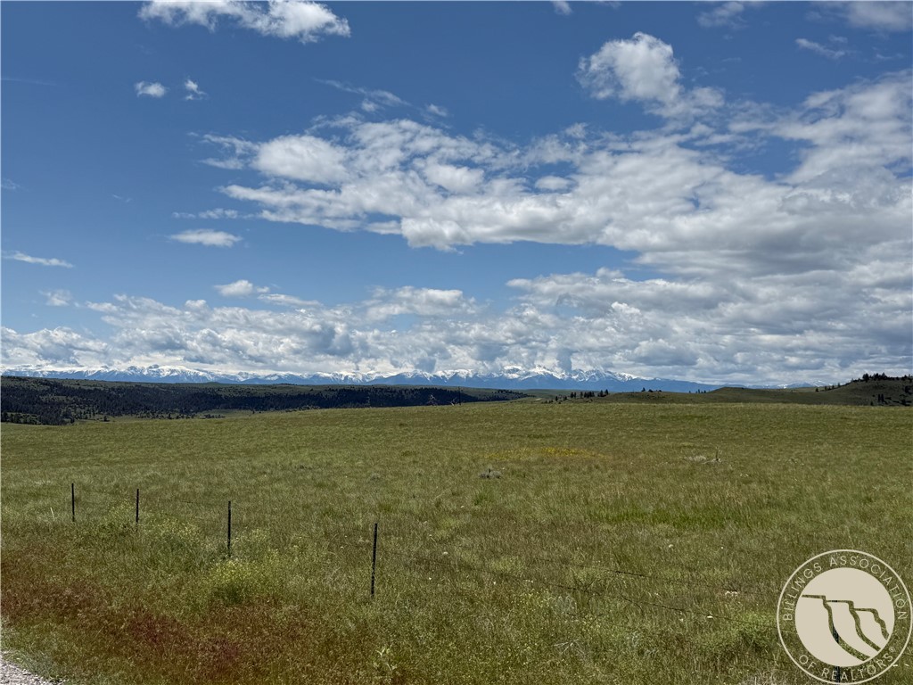 Lot 215 Coyote Pass