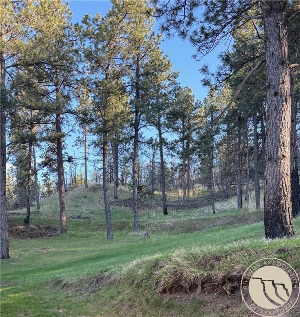 Photo of 32 Spring Hollow Road, Roundup, MT 59072 (MLS # 356437)