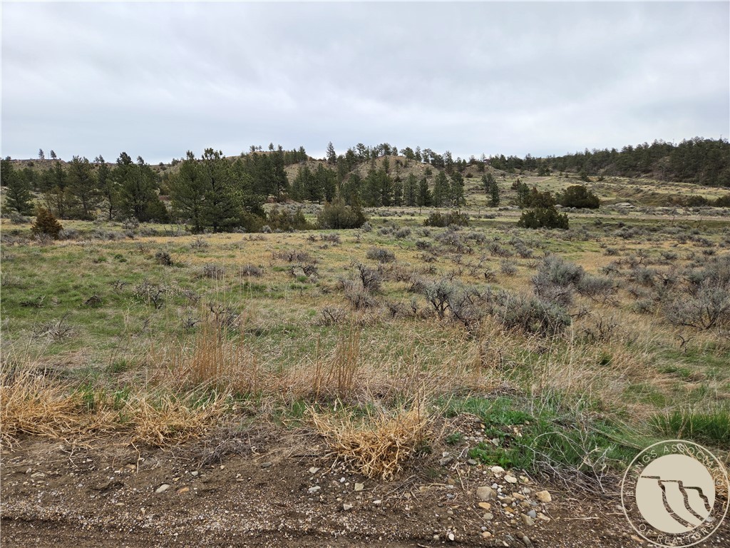 Lot 63 Starlight Drive