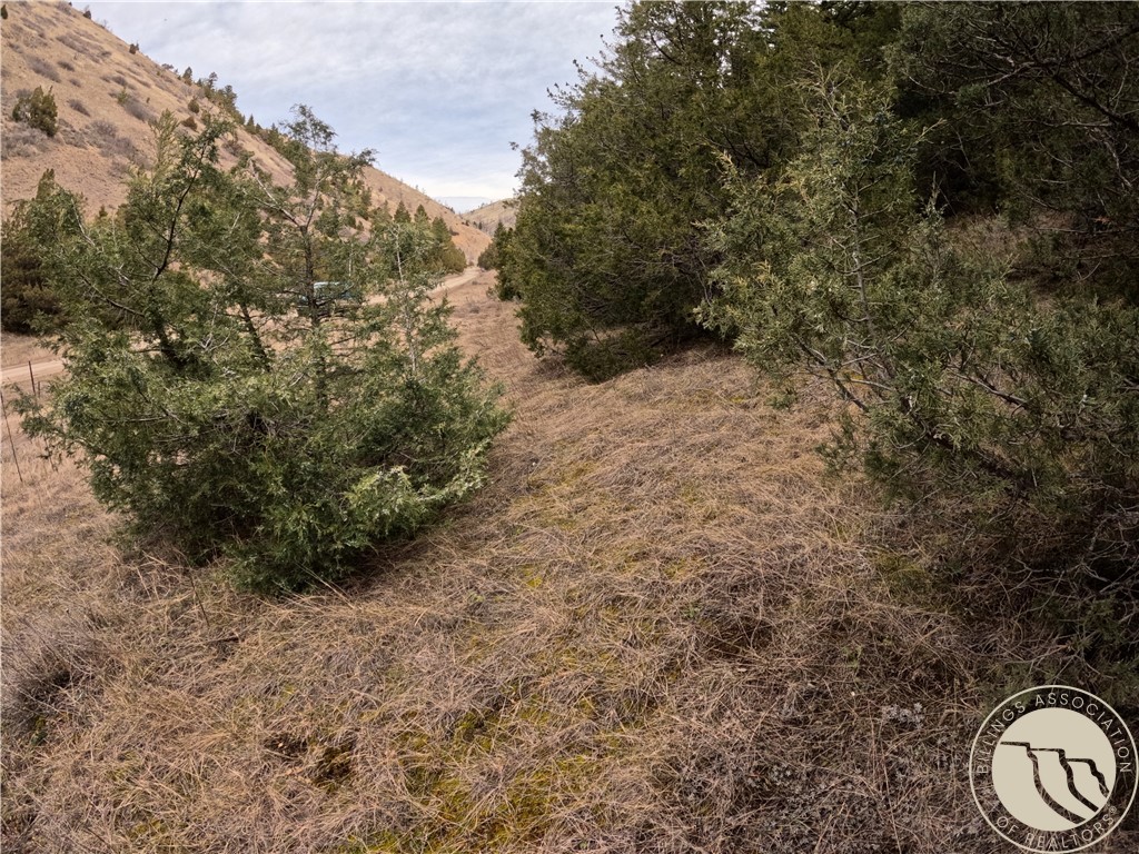 Lot 381&379 Pole Gulch Road