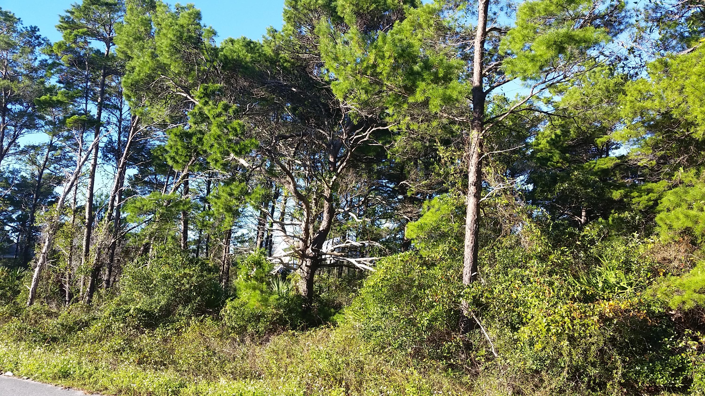 BEACH HIGHLAND 1ST ADD - Land