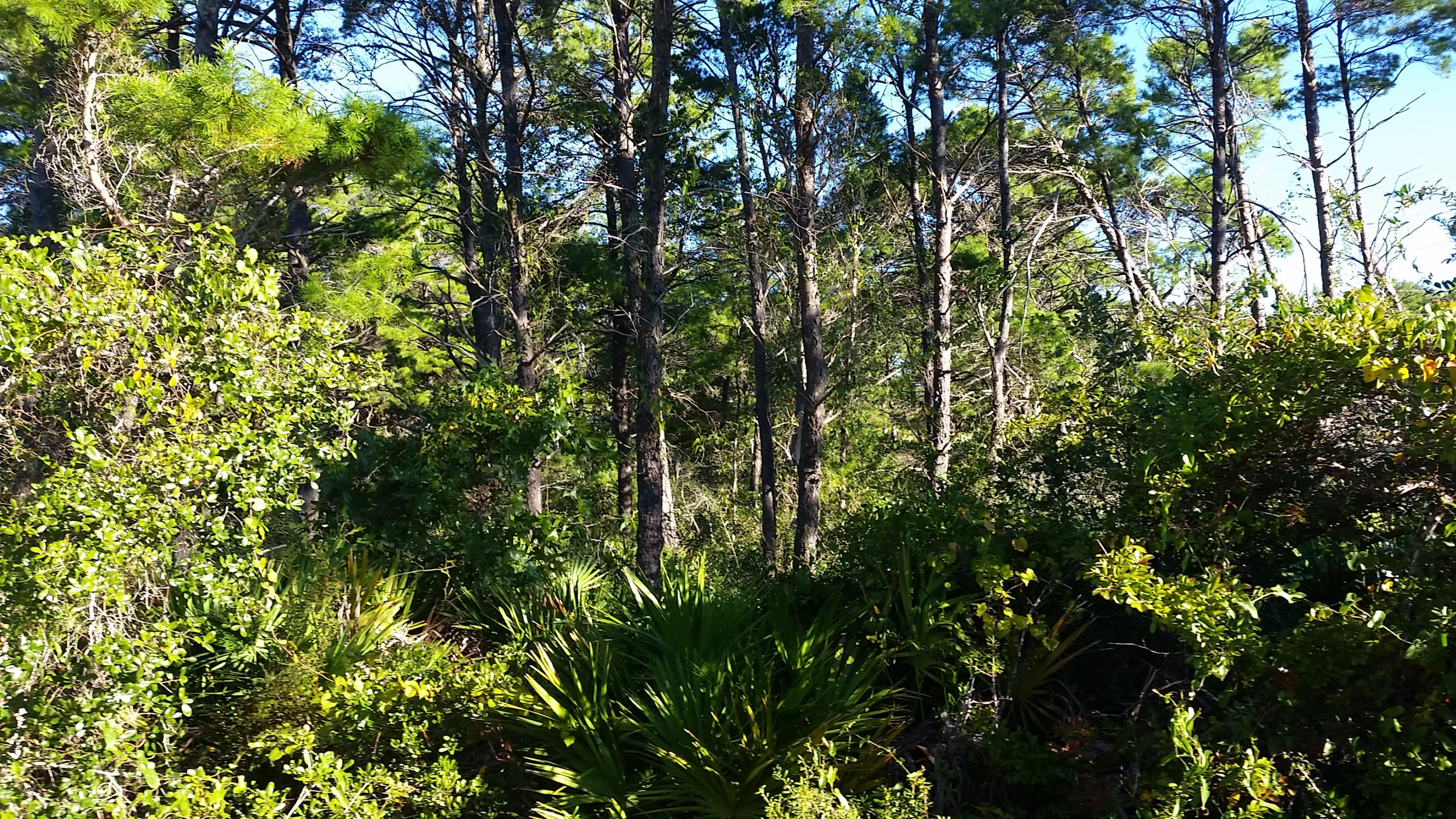 BEACH HIGHLAND 1ST ADD - Land
