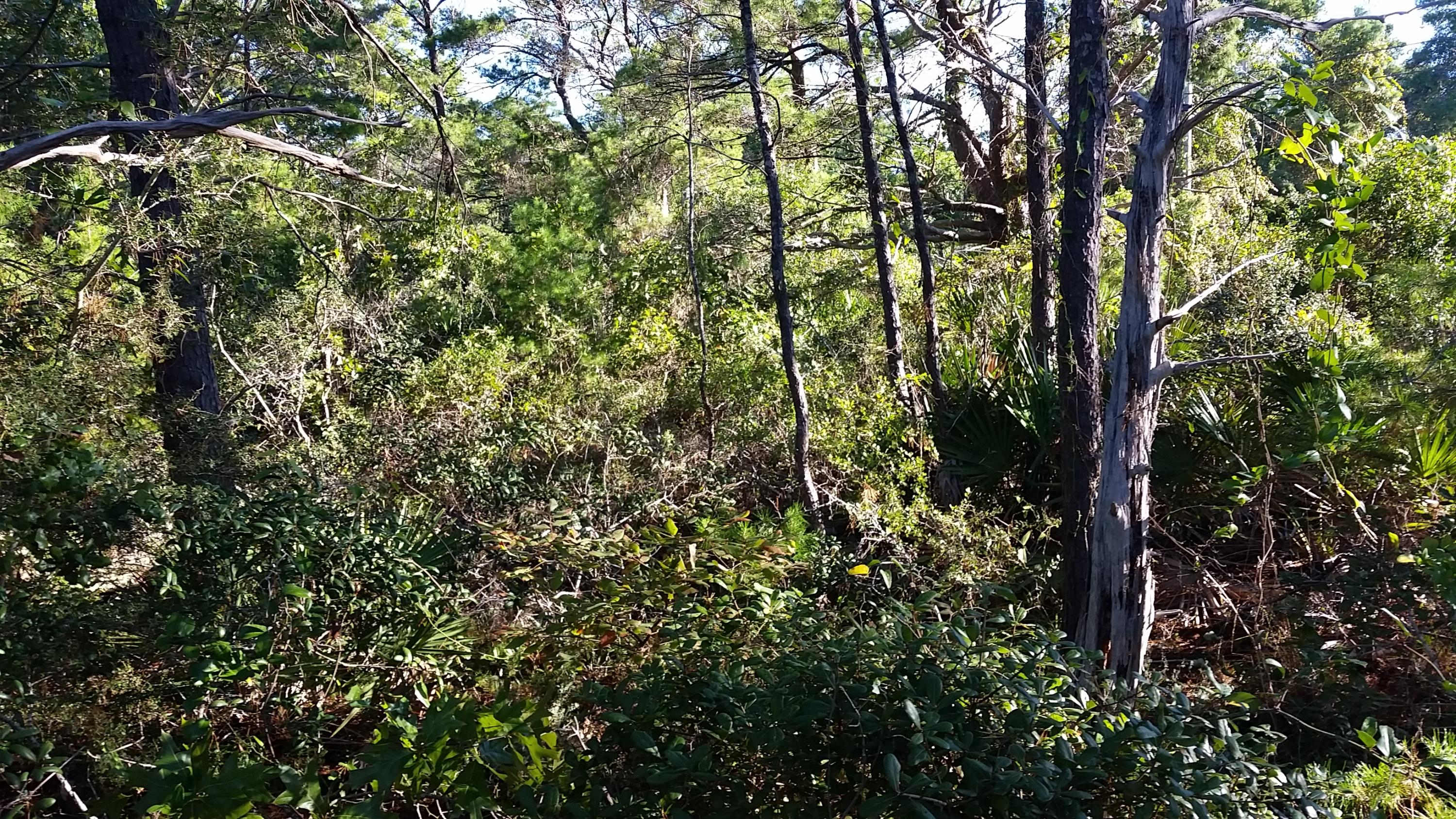 BEACH HIGHLAND 1ST ADD - Land