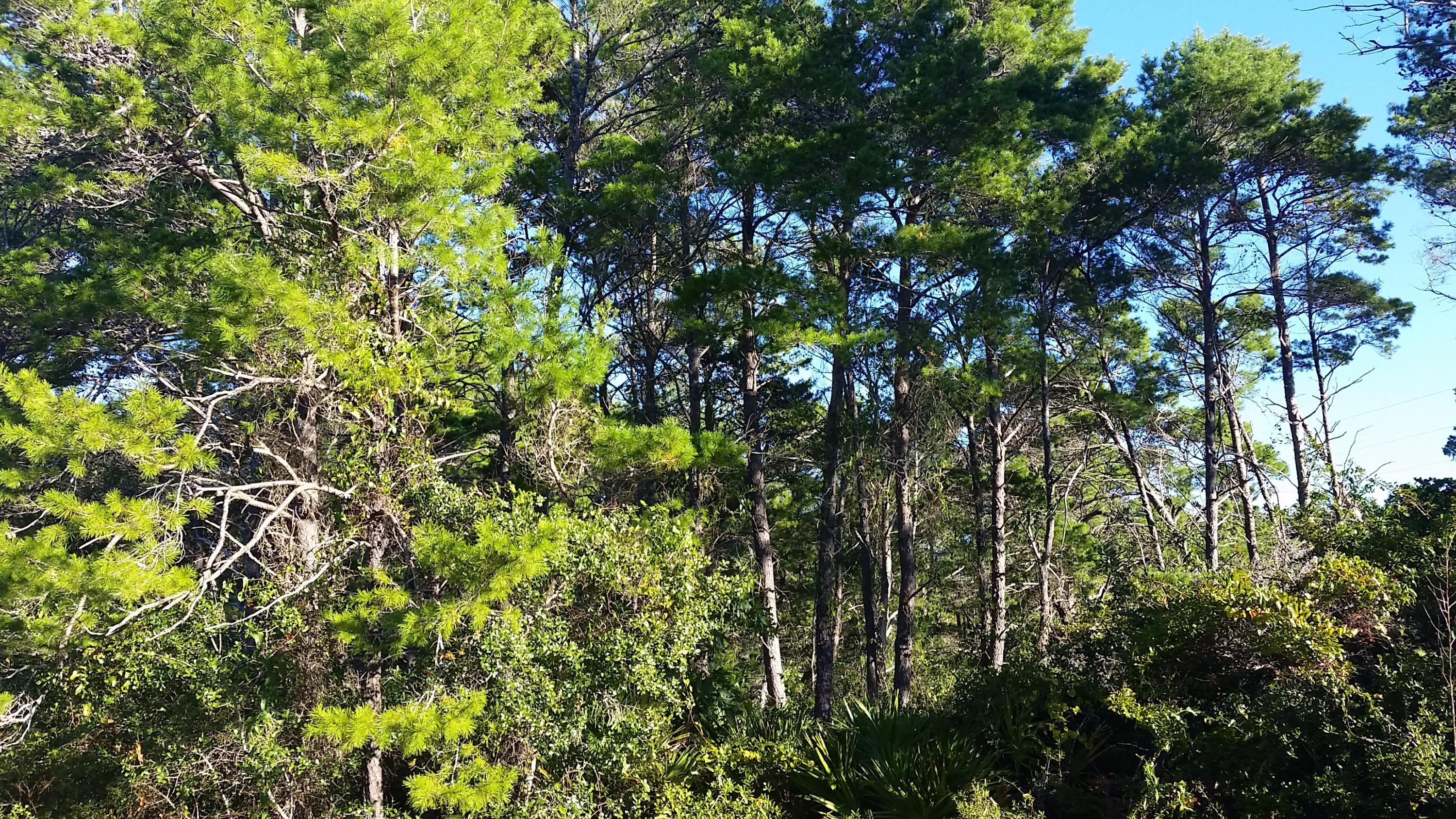 BEACH HIGHLAND 1ST ADD - Land