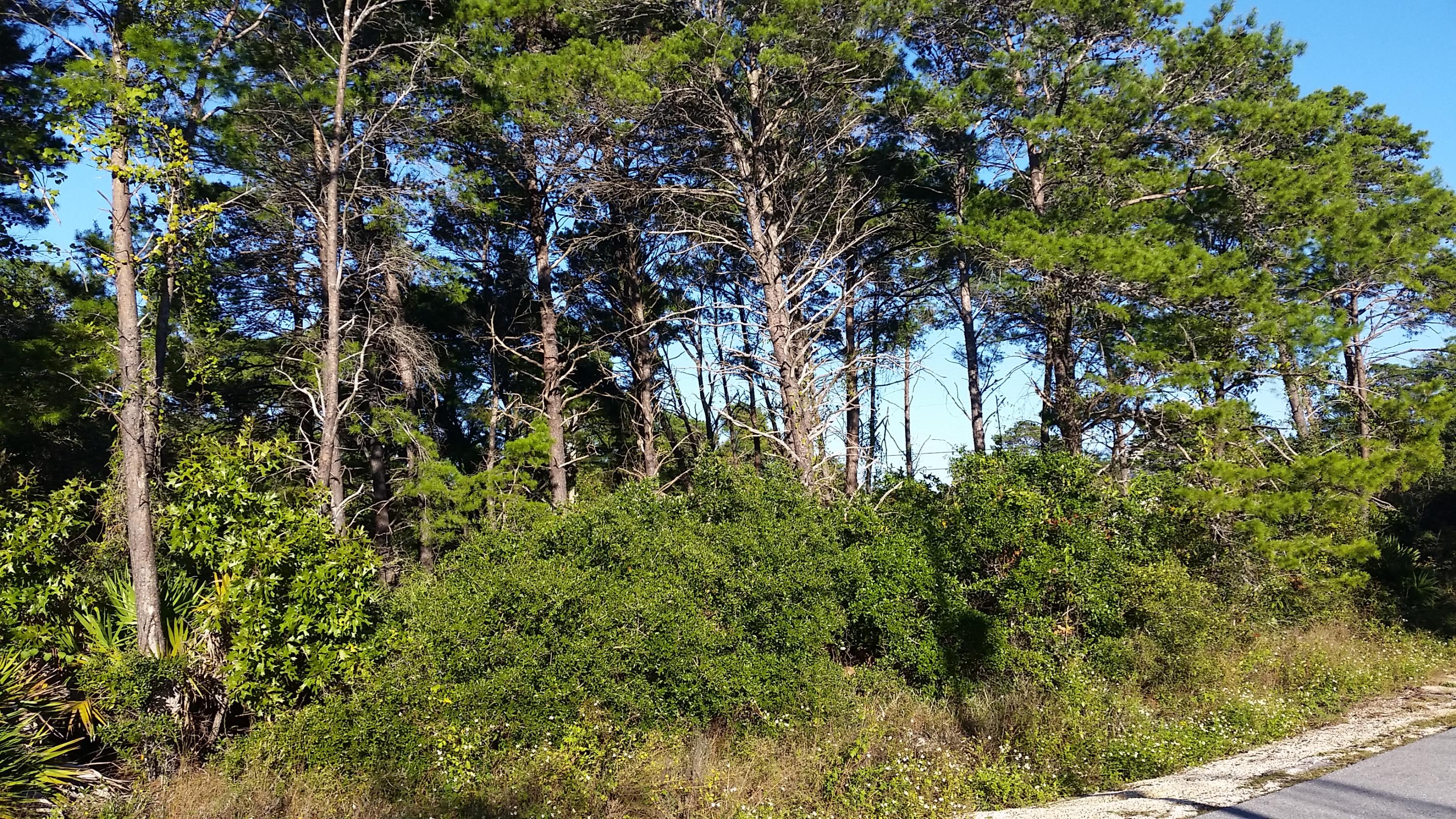 BEACH HIGHLAND 1ST ADD - Land