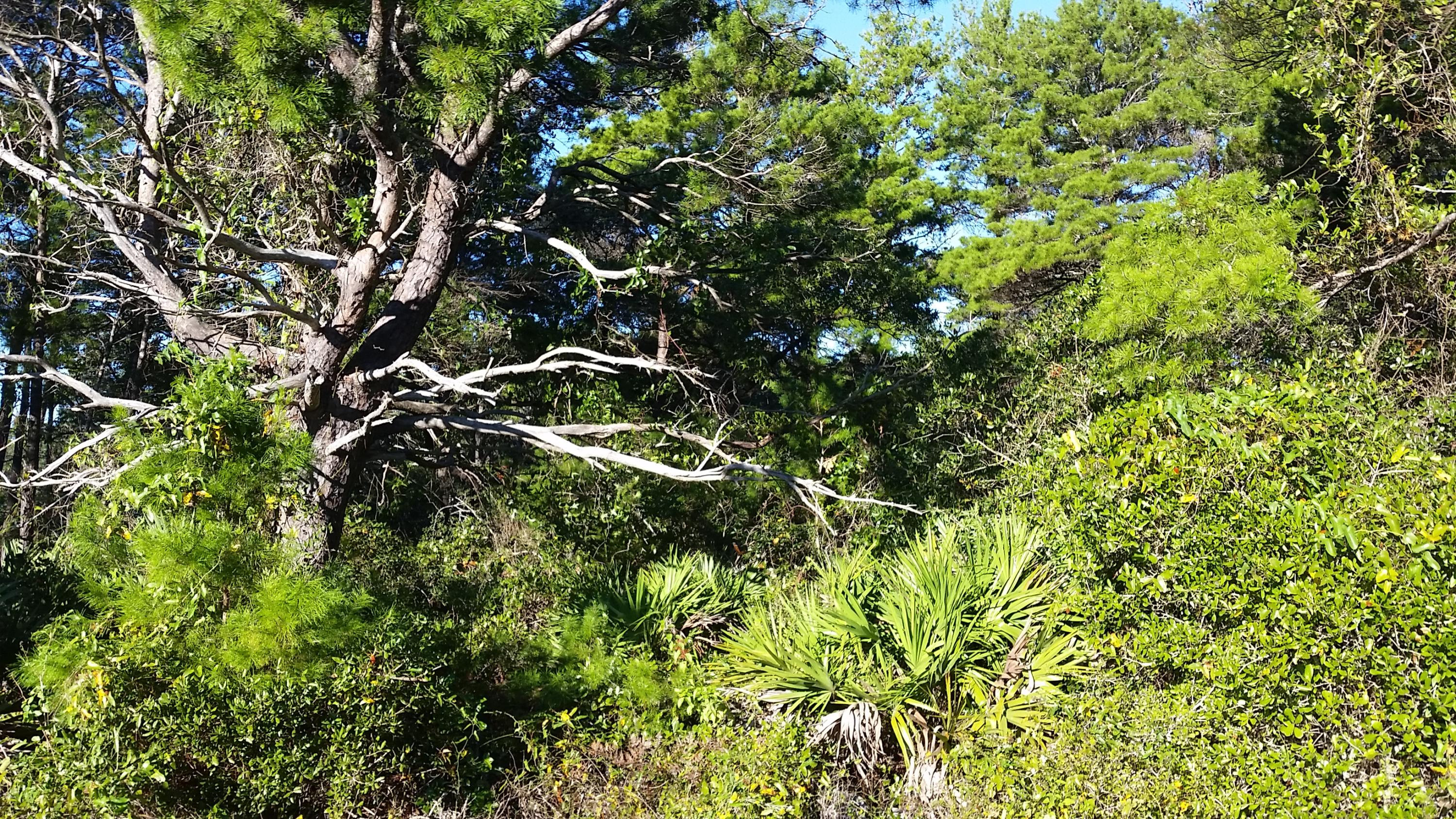BEACH HIGHLAND 1ST ADD - Land