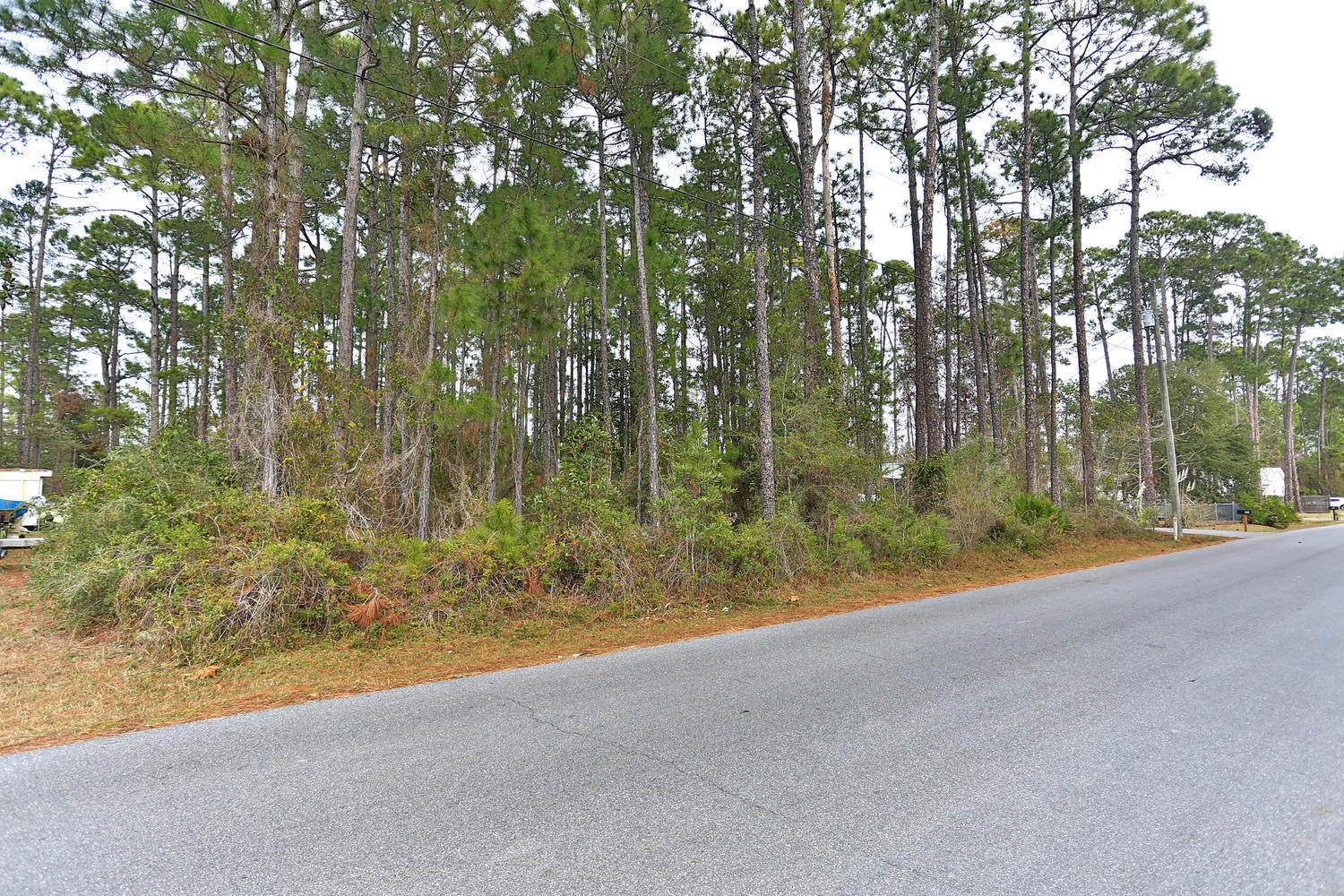 ELIZABETH FARMS 4TH ADDN UNREC - Land