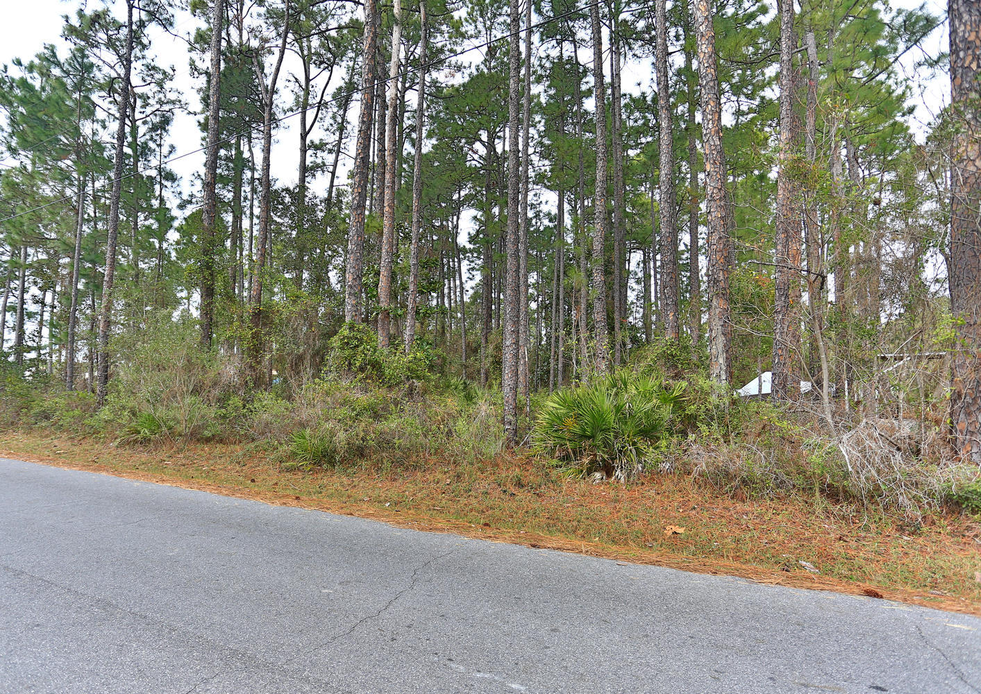 ELIZABETH FARMS 4TH ADDN UNREC - Land