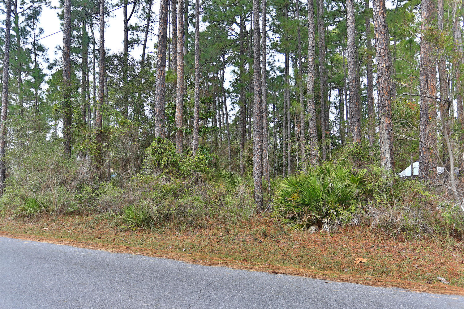 ELIZABETH FARMS 4TH ADDN UNREC - Land